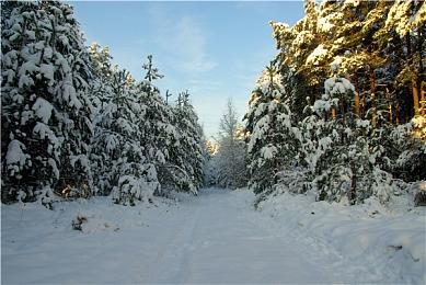 《宿星的女朋友2》Steam页面上线 支持简繁体中文